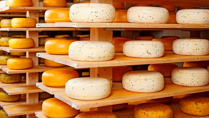Производство сыров выросло на 1%