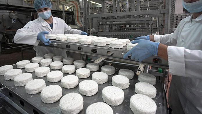 Производство творога выросло на 4,5%