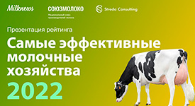 Видеозапись презентации рейтинга эффективности теперь доступна на канале Milknews в YouTube