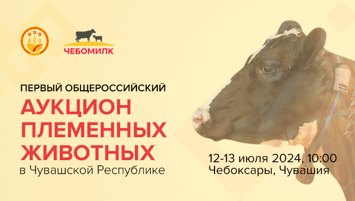 Первый общероссийский аукцион племенных животных. Продать или купить животное можно будет в Чувашии 13 июля