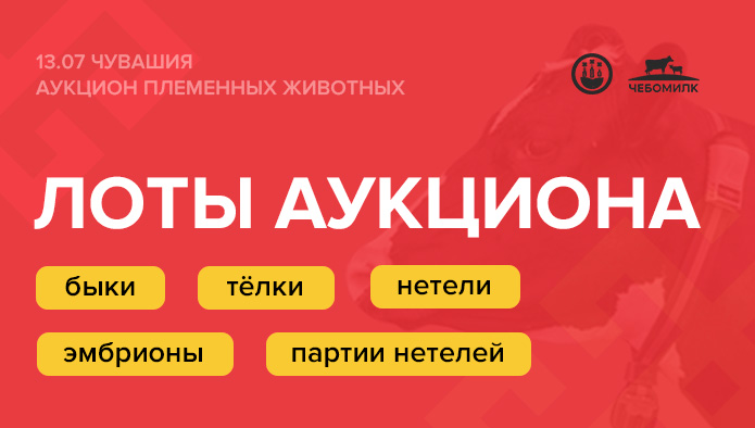 Опубликованы лоты Первого общероссийского аукциона племенных животных, который состоится уже на этой неделе