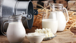 Maxum Foods: рост мирового производства молока оказывает негативное влияние на цены на молочное сырье