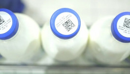 Эксперимент по партионному учету молочной продукции может стартовать с 1 июня
