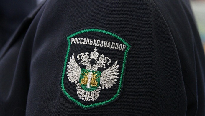 Россельхознадзор обнаружил говяжий жир в сырах из Белоруссии
