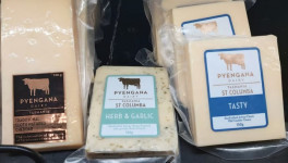 Австралийская TasFoods готовится продать сыродельню Pyengana Dairy
