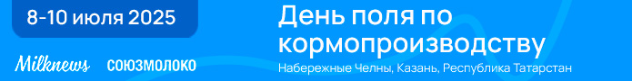 День поля