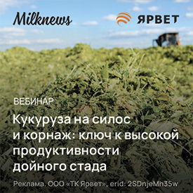Ярвет