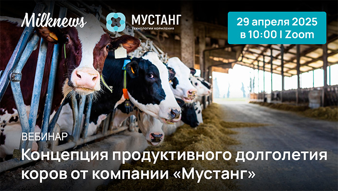 29 апреля пройдет вебинар «Концепция продуктивного долголетия коров от компании «Мустанг»»