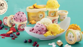 Индийская Walko Food Company приобретает производителя мороженого Meemee’s