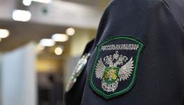 РСХН: ВОЗЖ признала благополучной по ящуру всю территорию России