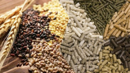 FEFAC: прогноз производства комбикормов в ЕС по итогам 2024 года неоднозначен