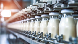 Индийская Dodla Dairy покупает молочную компанию HR Food Processing
