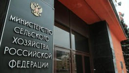 Минсельхоз опубликовал план льготного кредитования молочного скотоводства
