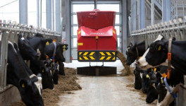 Объем рынка систем кормления скота достигнет отметки в $5,1 млрд к 2030 году