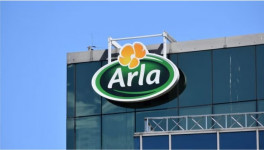 Arla Foods будет производить скир в Швеции