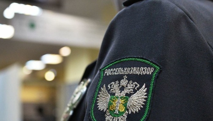 Об указании МДЖ и МДБ при оформлении эВСД в «Меркурии»