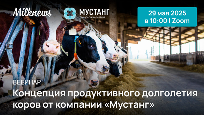 пройдет вебинар «Концепция продуктивного долголетия коров от компании «Мустанг»